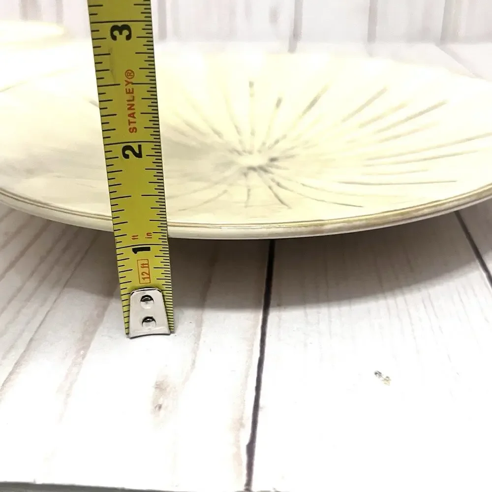 Pier 1 Stoneware SANCTUARY Salad Plate(s) Set of 2 8.5